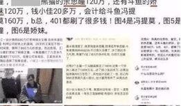 央视爆料记者被杀视频完整版,真相揭露，正义何在？