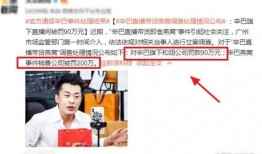 辛巴母亲爆料视频播放全集,家庭矛盾与真相大白